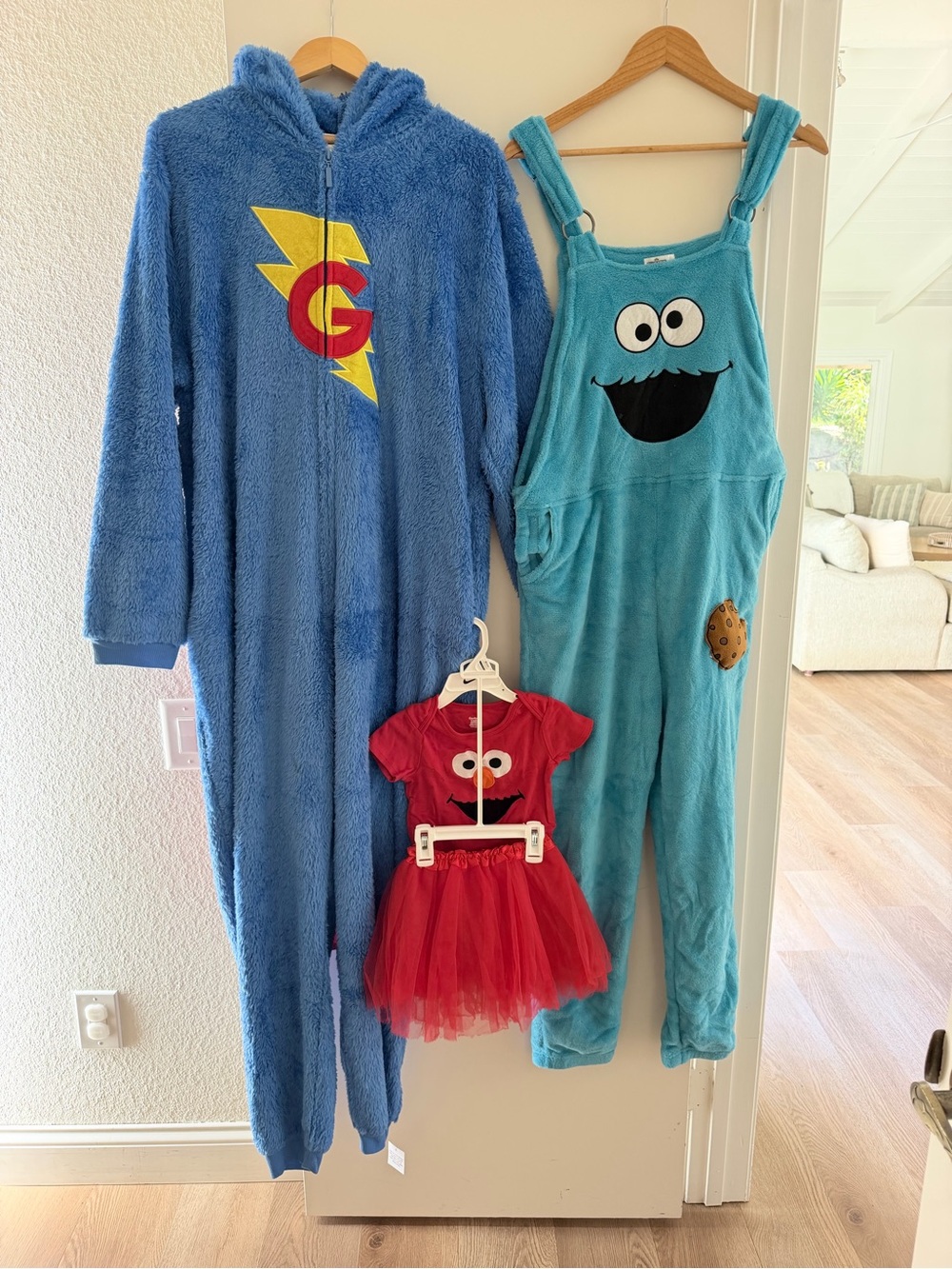 Sesame Street Family Costume